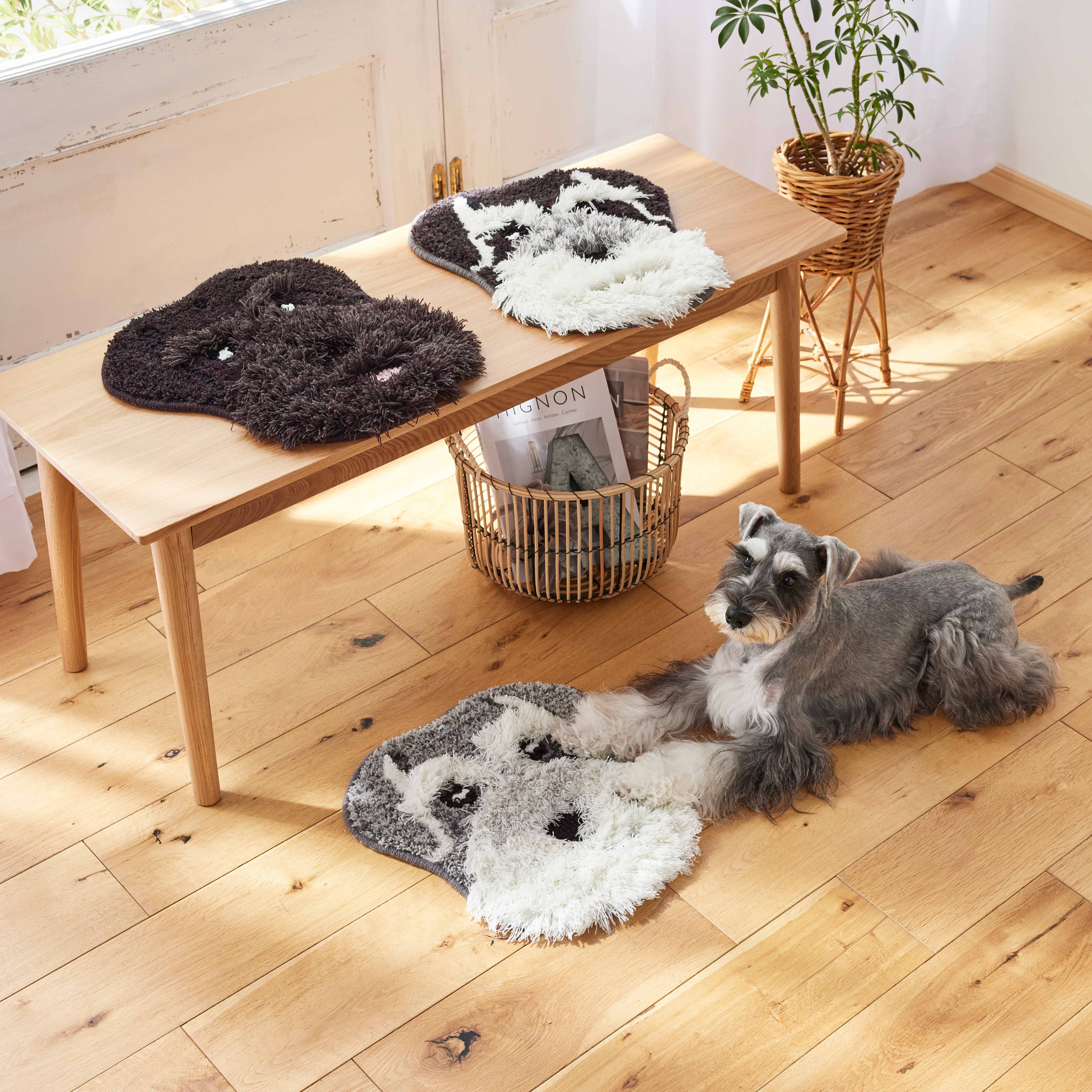 イヌカオ マット　シュナウザー