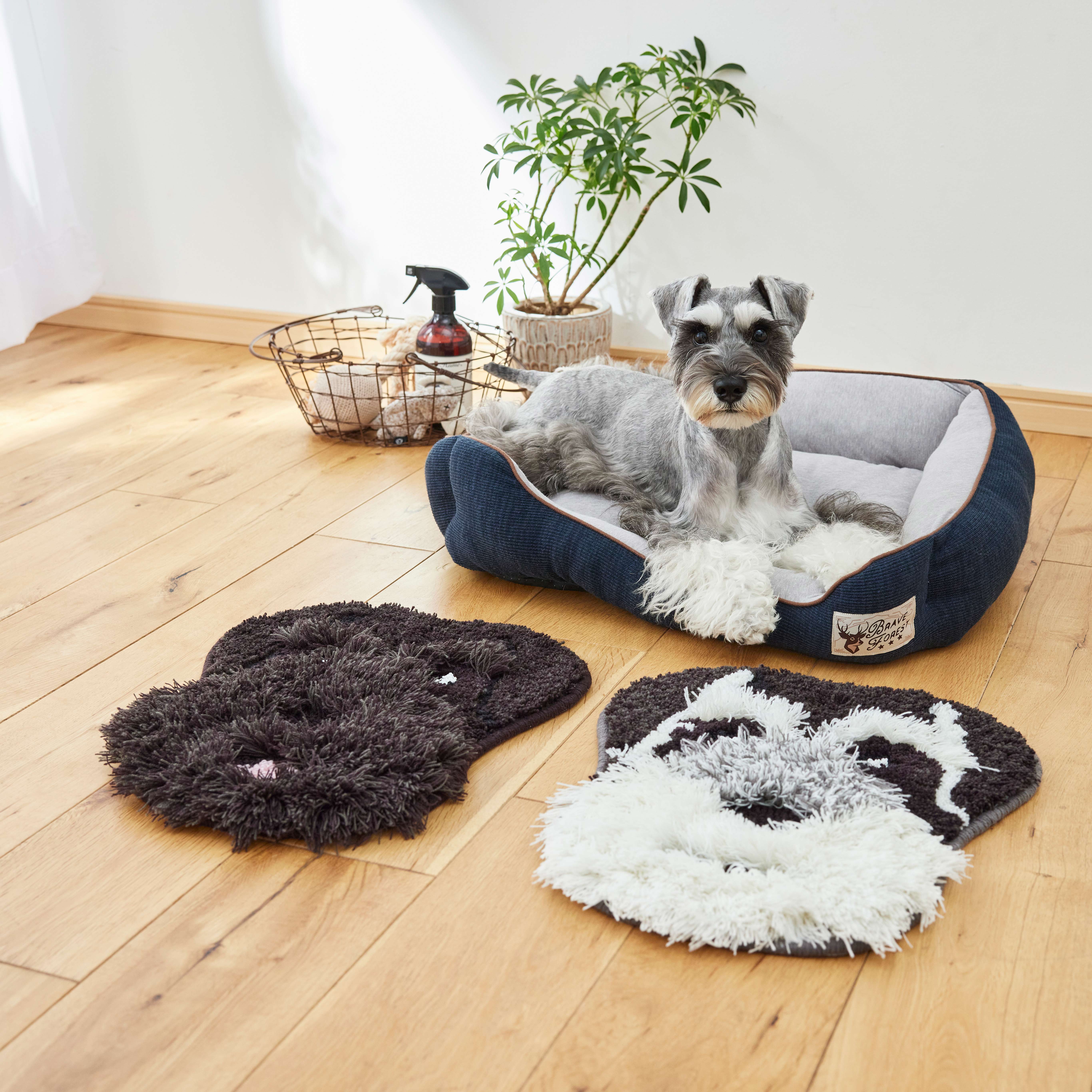 イヌカオ マット　シュナウザー