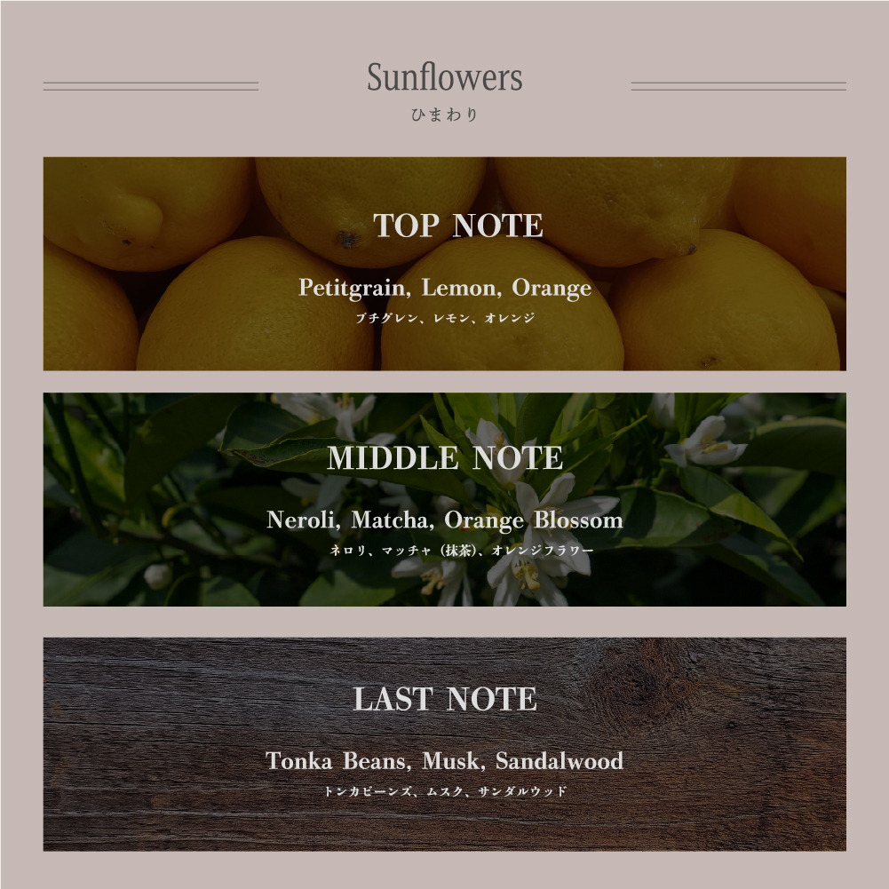 Xmas限定ボックス選択可能【お友達が色/香りを選べる】絵画フレグランス＆アイシャドウセット