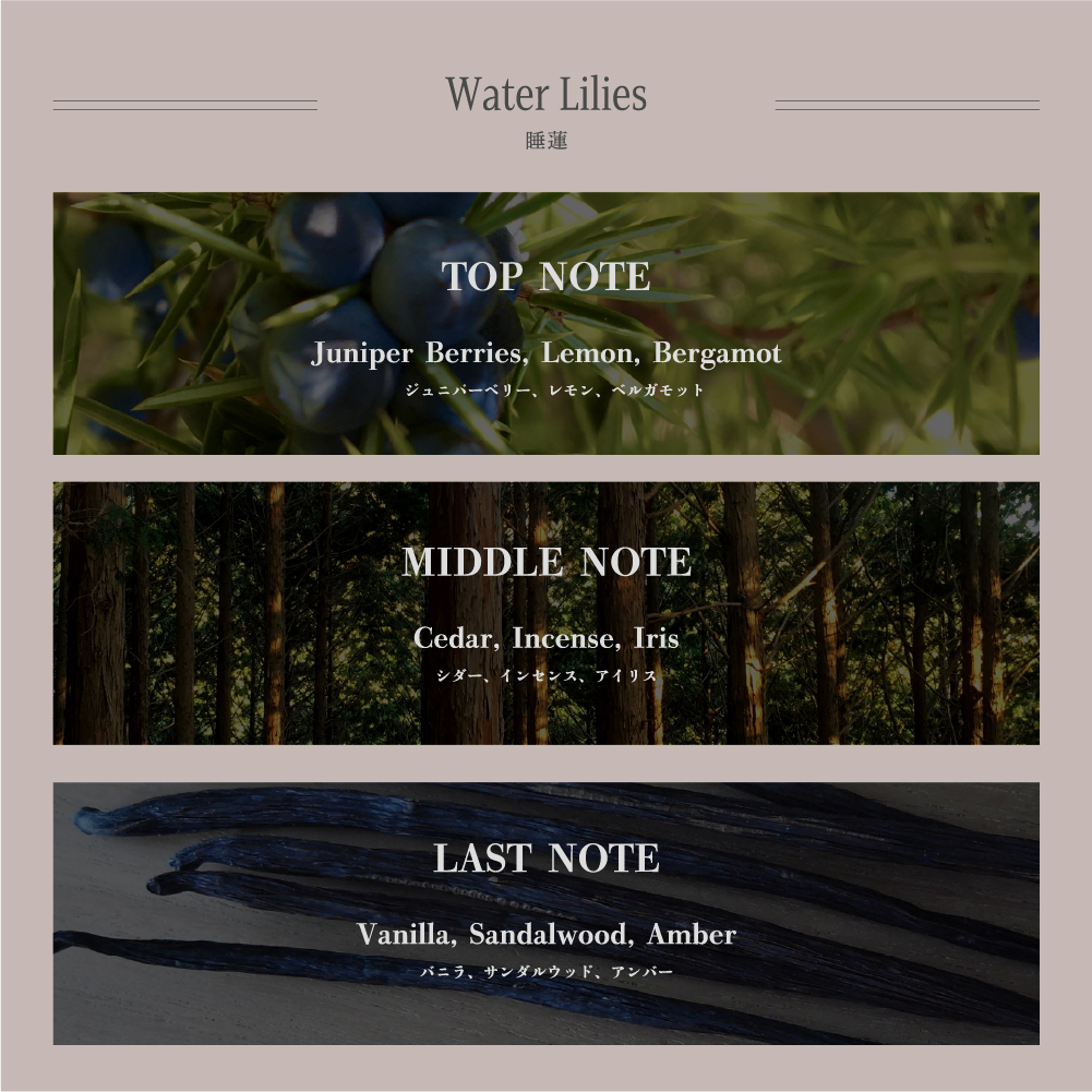 Xmas限定ボックス選択可能【お友達が色/香りを選べる】絵画フレグランス＆アイシャドウセット