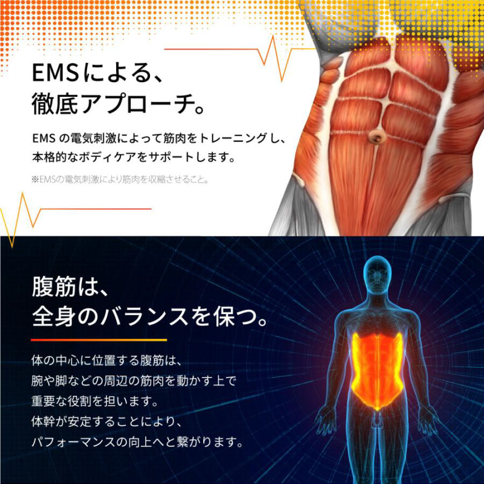 EMSベルト