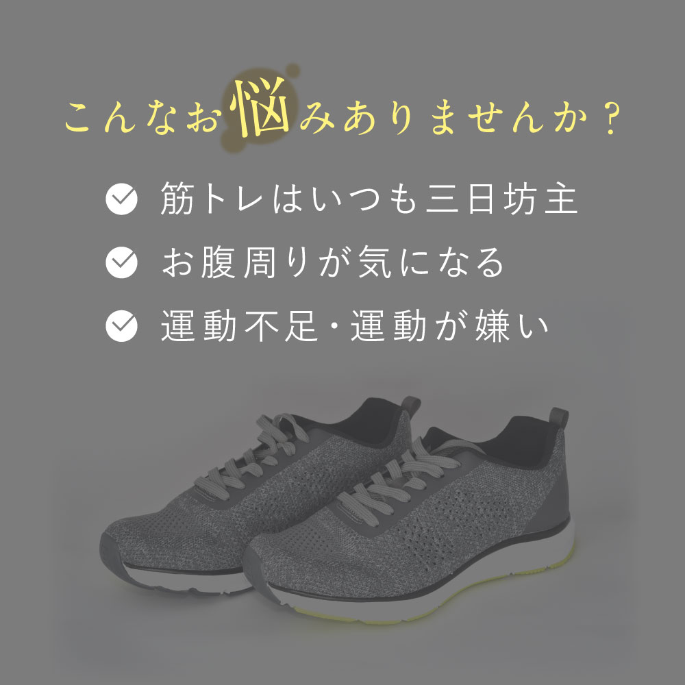 EMSベルト