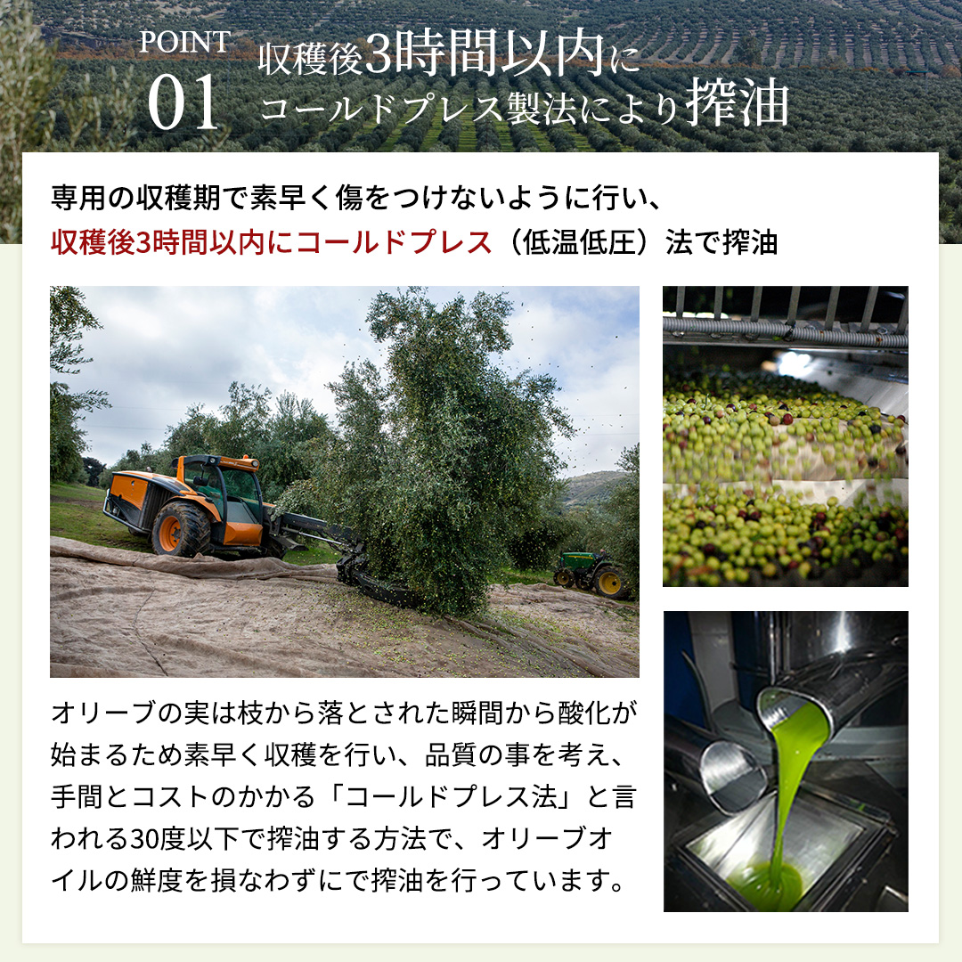 【パラシオ・マルケス・デ・ヴィアナ】エキストラバージンオリーブオイル2本セット