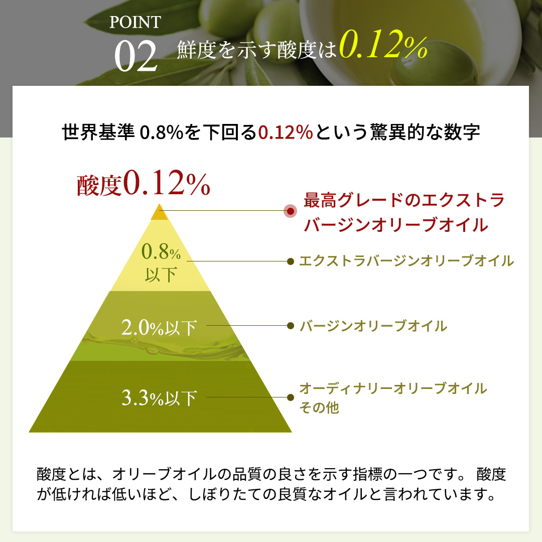 【パラシオ・マルケス・デ・ヴィアナ】エキストラバージンオリーブオイル2本セット