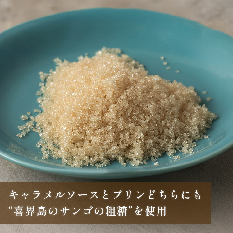 キャラメルマスカルポーネプリンセット（light/middle/premium dark各2本セット） 御中元 お中元 夏ギフト 早割 指定可 即日出荷