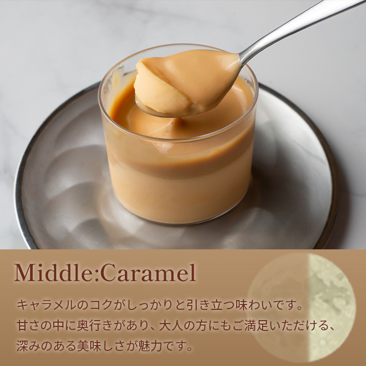 キャラメルマスカルポーネプリンセット（light/middle/premium dark各2本セット） 御中元 お中元 夏ギフト 早割 指定可 即日出荷