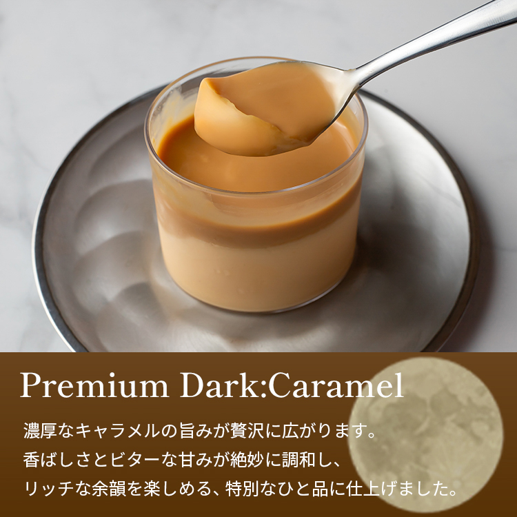 キャラメルマスカルポーネプリンセット（light/middle/premium dark各2本セット） 御中元 お中元 夏ギフト 早割 指定可 即日出荷