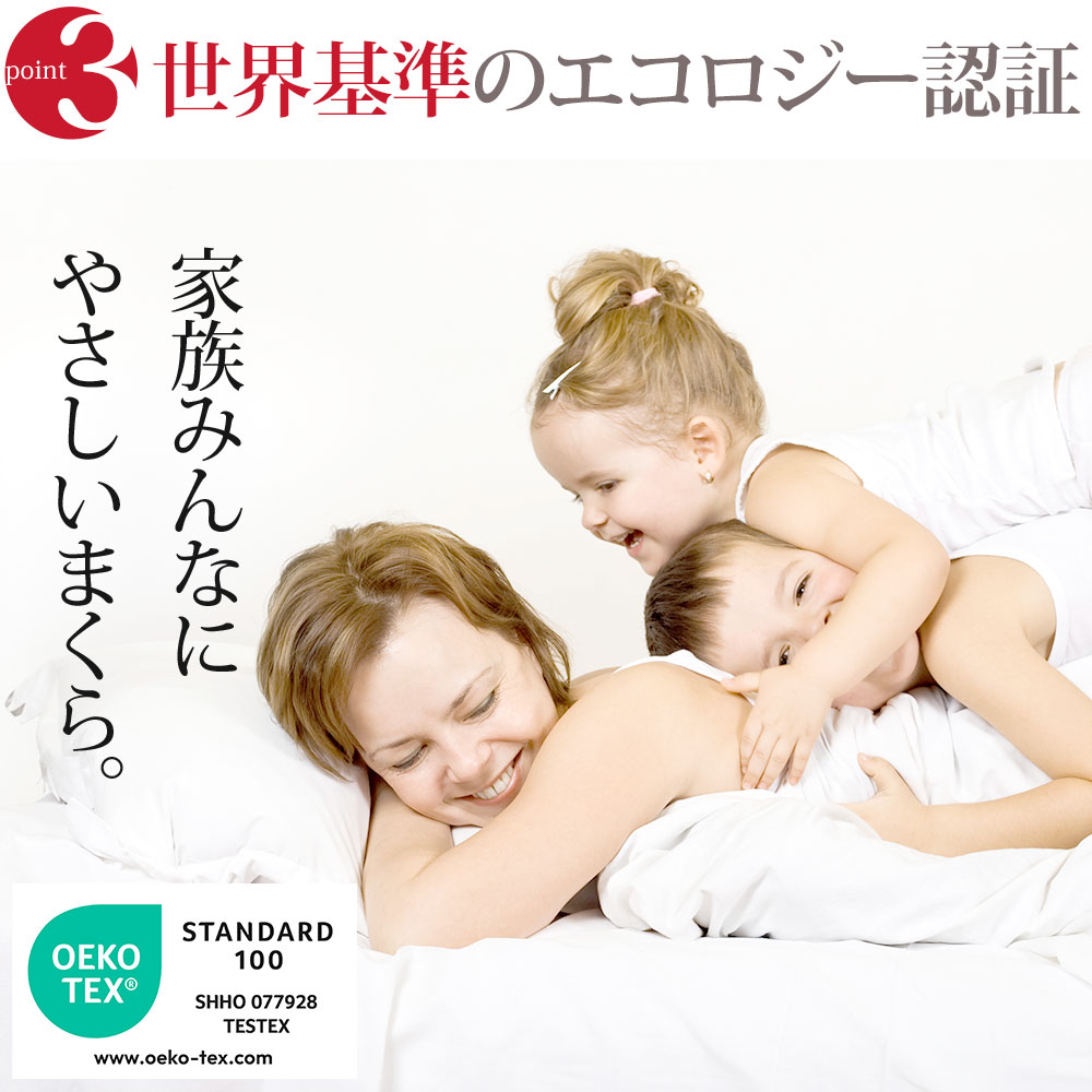 枕 フィベールピロー Danfill(ダンフィル) まるで高級ホテル気分を味わえるふわふわ枕 