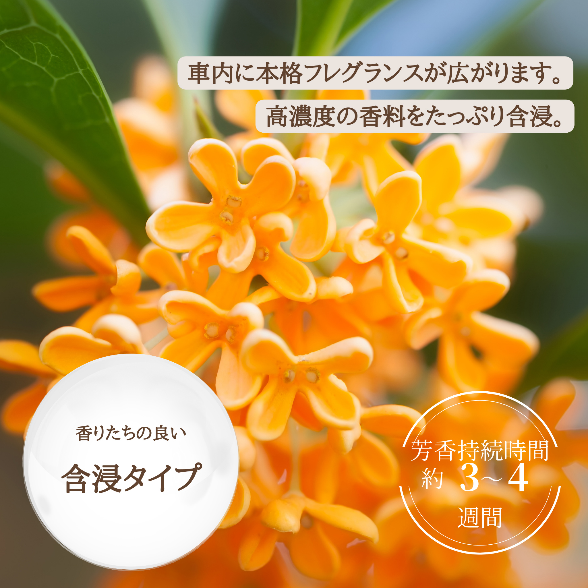 Car Fragrance【Autumun】