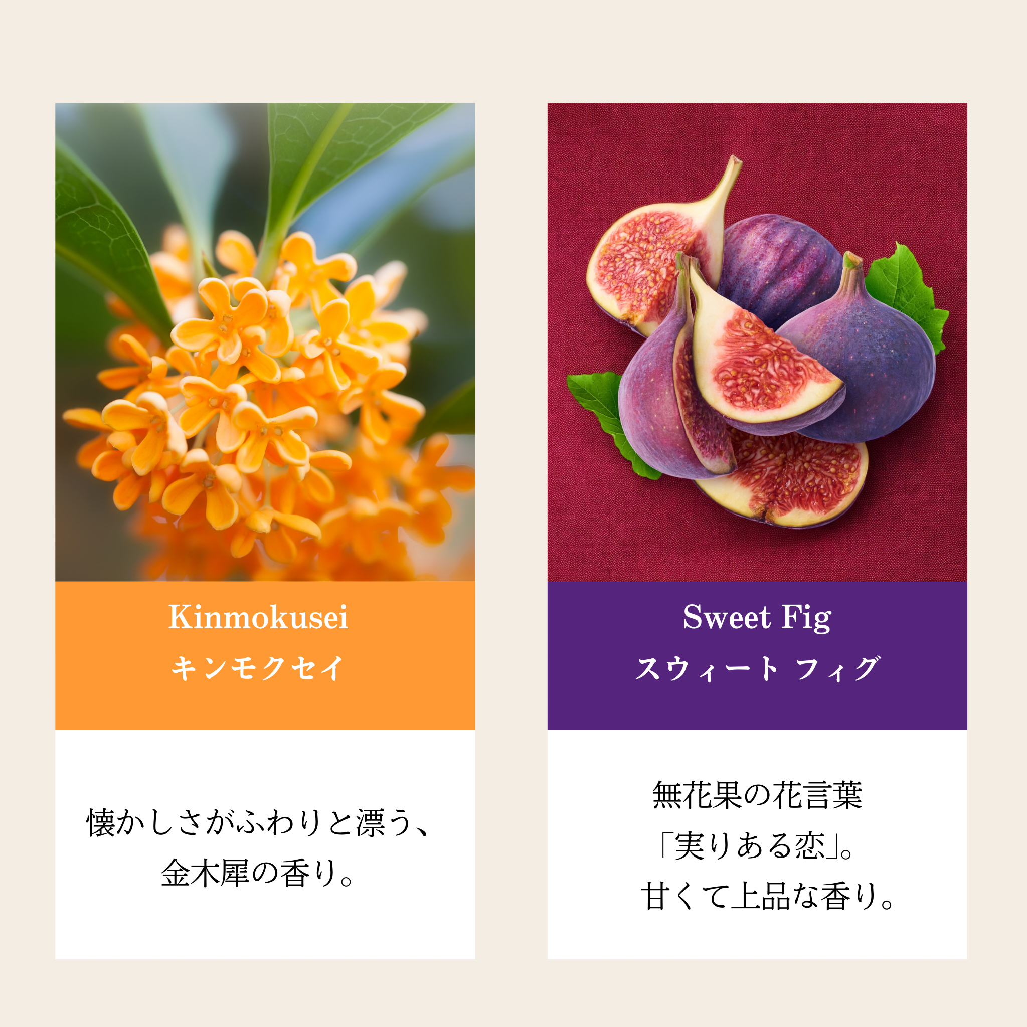 Car Fragrance【Autumun】