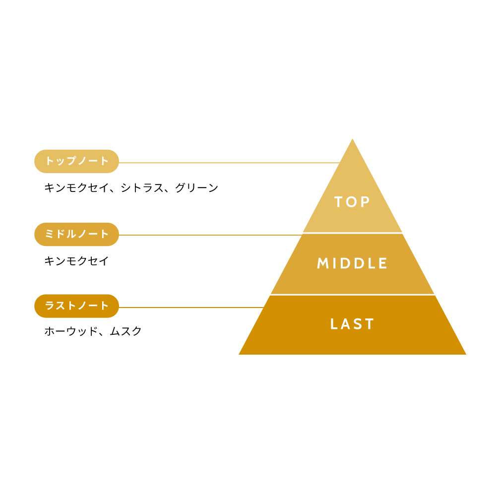 フレグランス ハンドクリーム