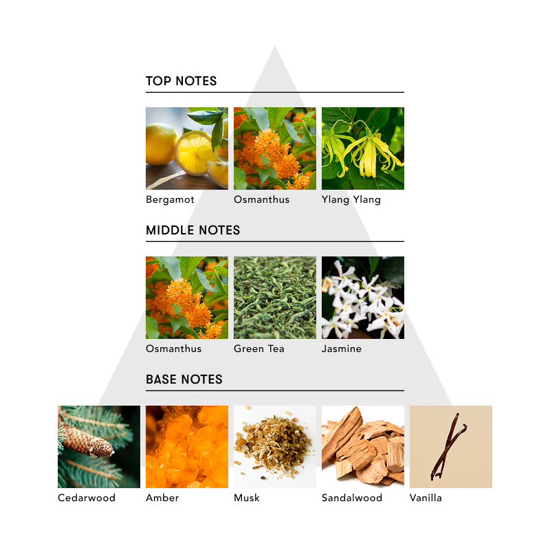 【eギフトでお友達が香りを選べる】マインドフル アンビエントインセンス