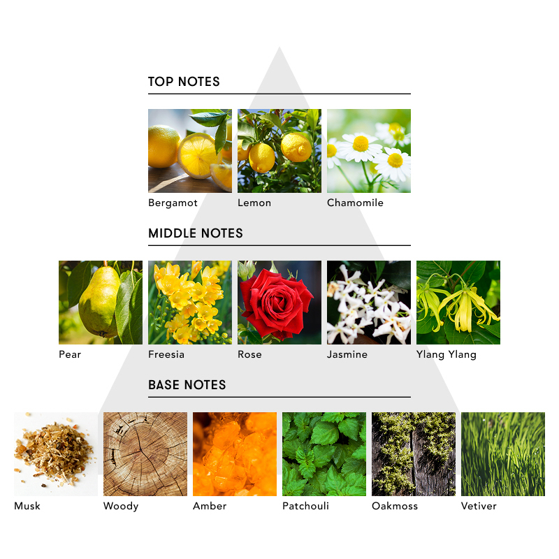 【eギフトでお友達が香りを選べる】マインドフル アンビエントインセンス