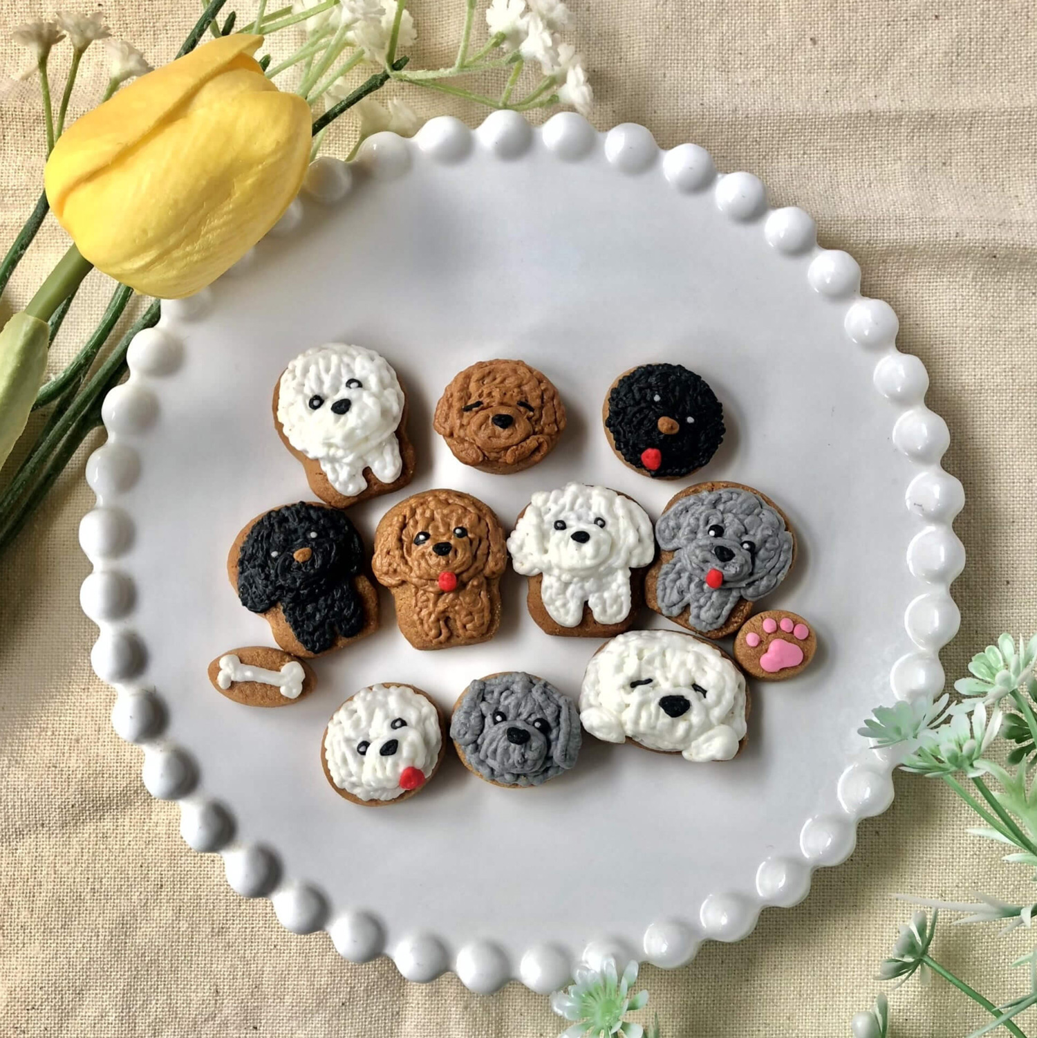 もふもふトイプードルver カラフルで可愛いアイシングクッキー缶