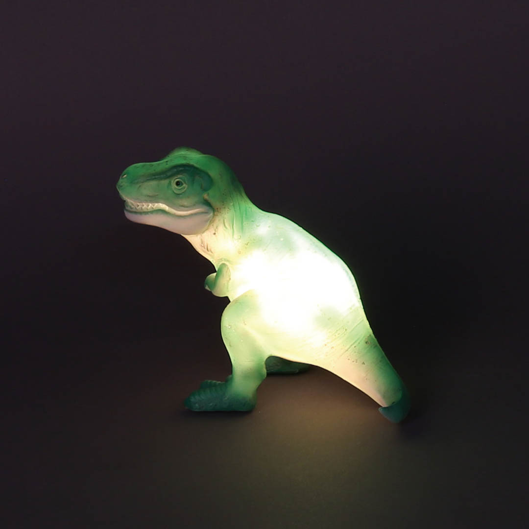 LED DINOLIGHT