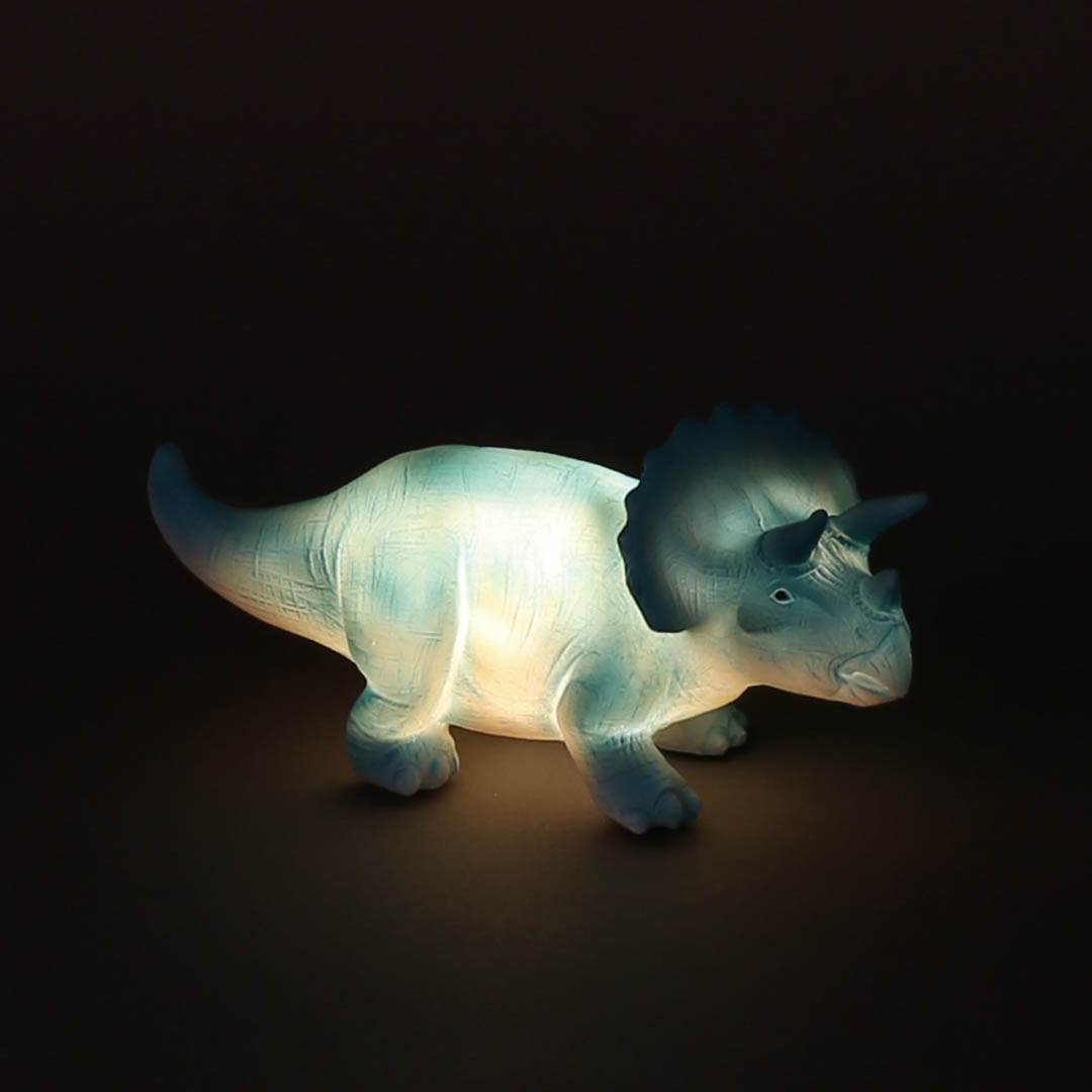 LED DINOLIGHT