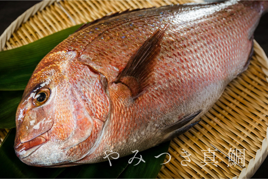 究極の海鮮丼 選べるペアセット【熨斗・メセカ無料】