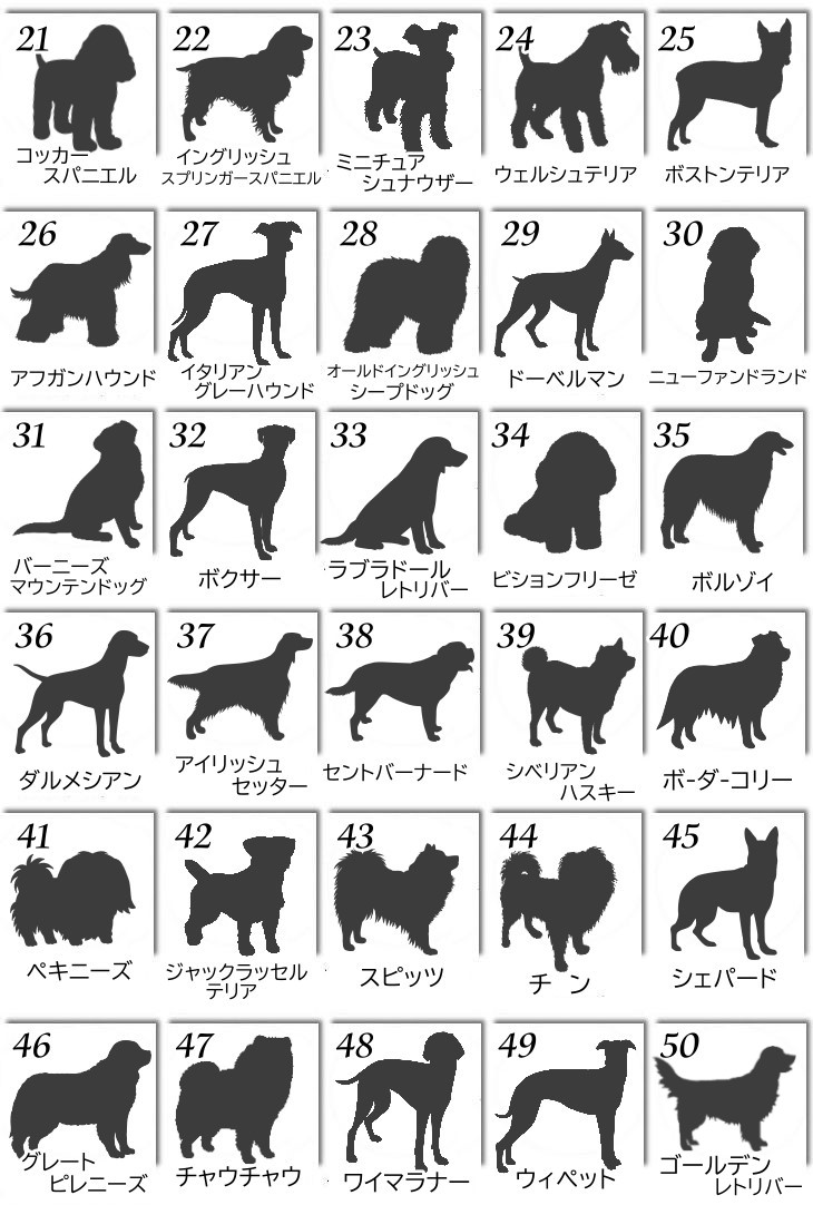 名入れバルーンとソープフラワーのペット用お供え花