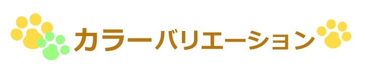 名入れバルーンとソープフラワーのペット用お供え花