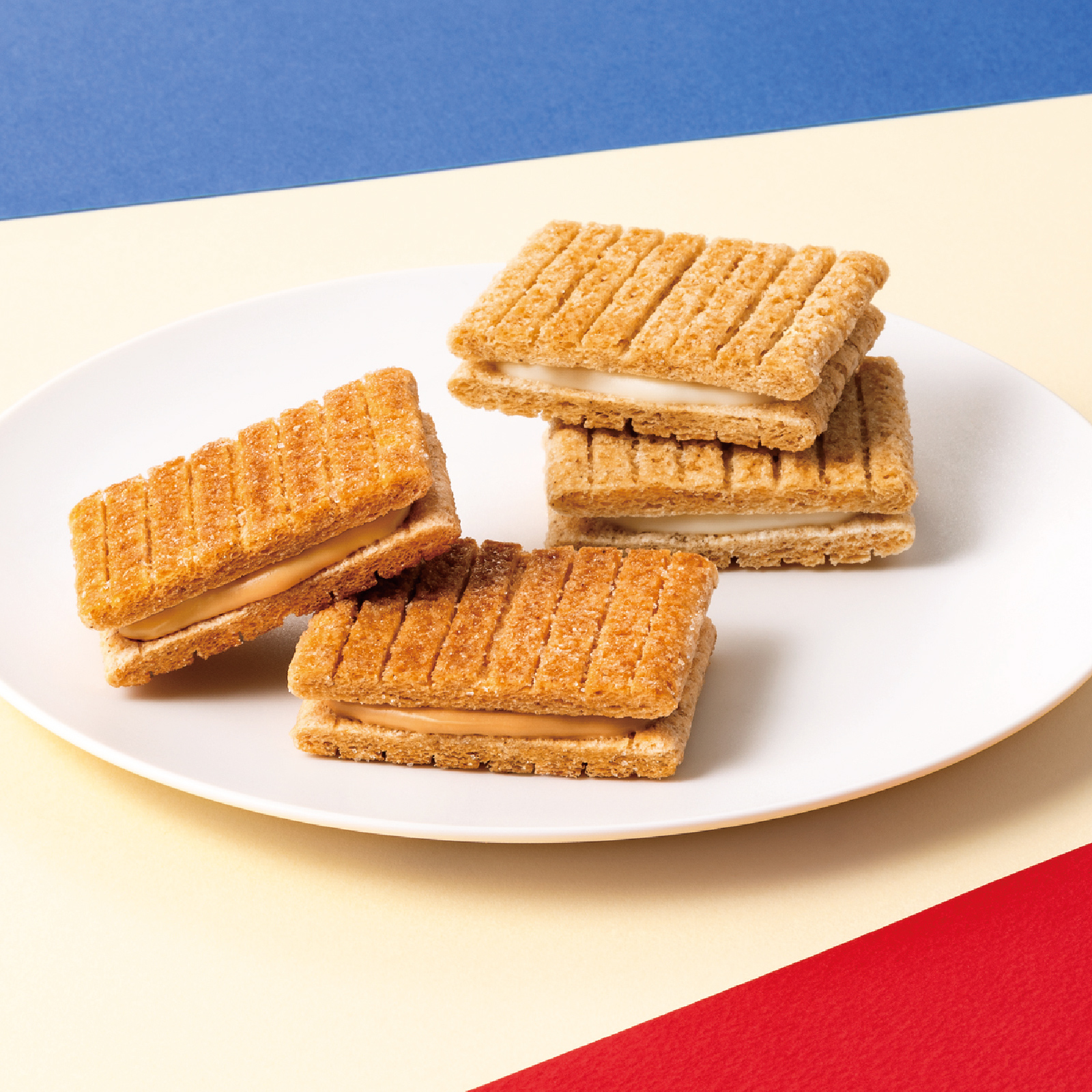 【熨斗対応】シュガーバターの木　サンドコレクション　12個入