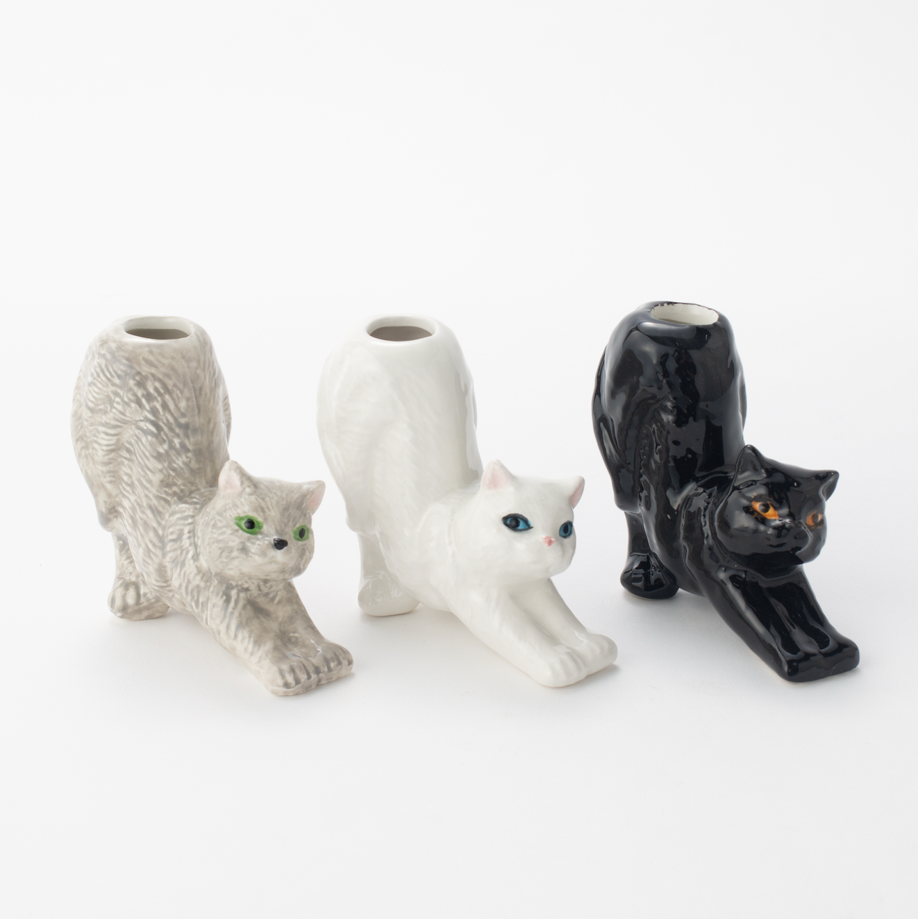 Animal Vase（CAT)