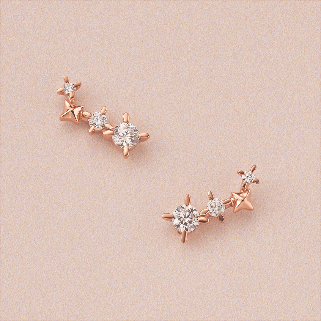 【Winter Limited】 シルバー ピアス