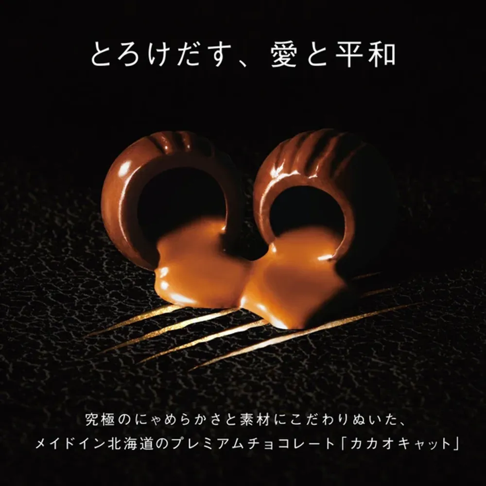 CACAOCAT缶 5個入 NOIR