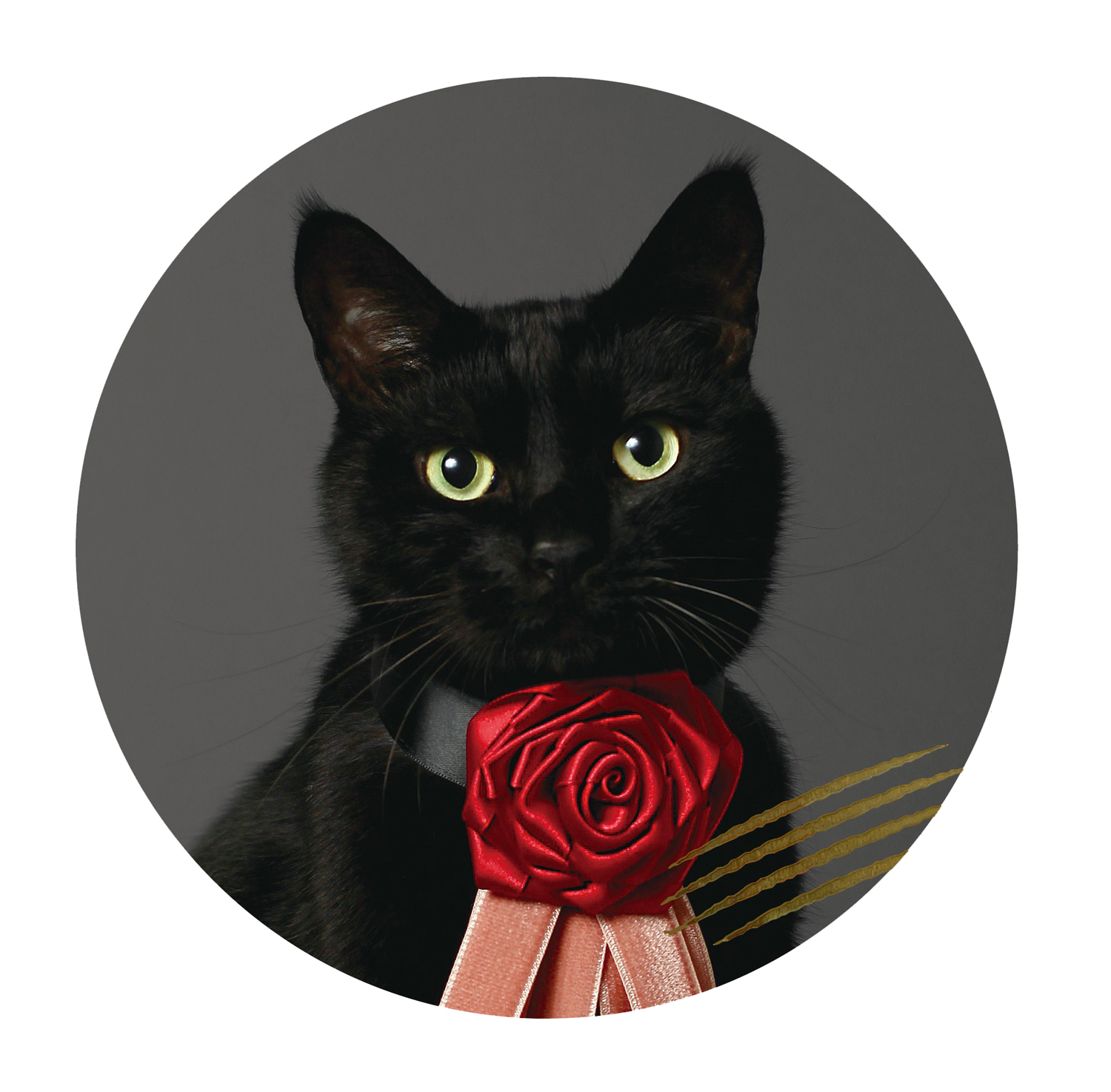 CACAOCAT缶 5個入 NOIR
