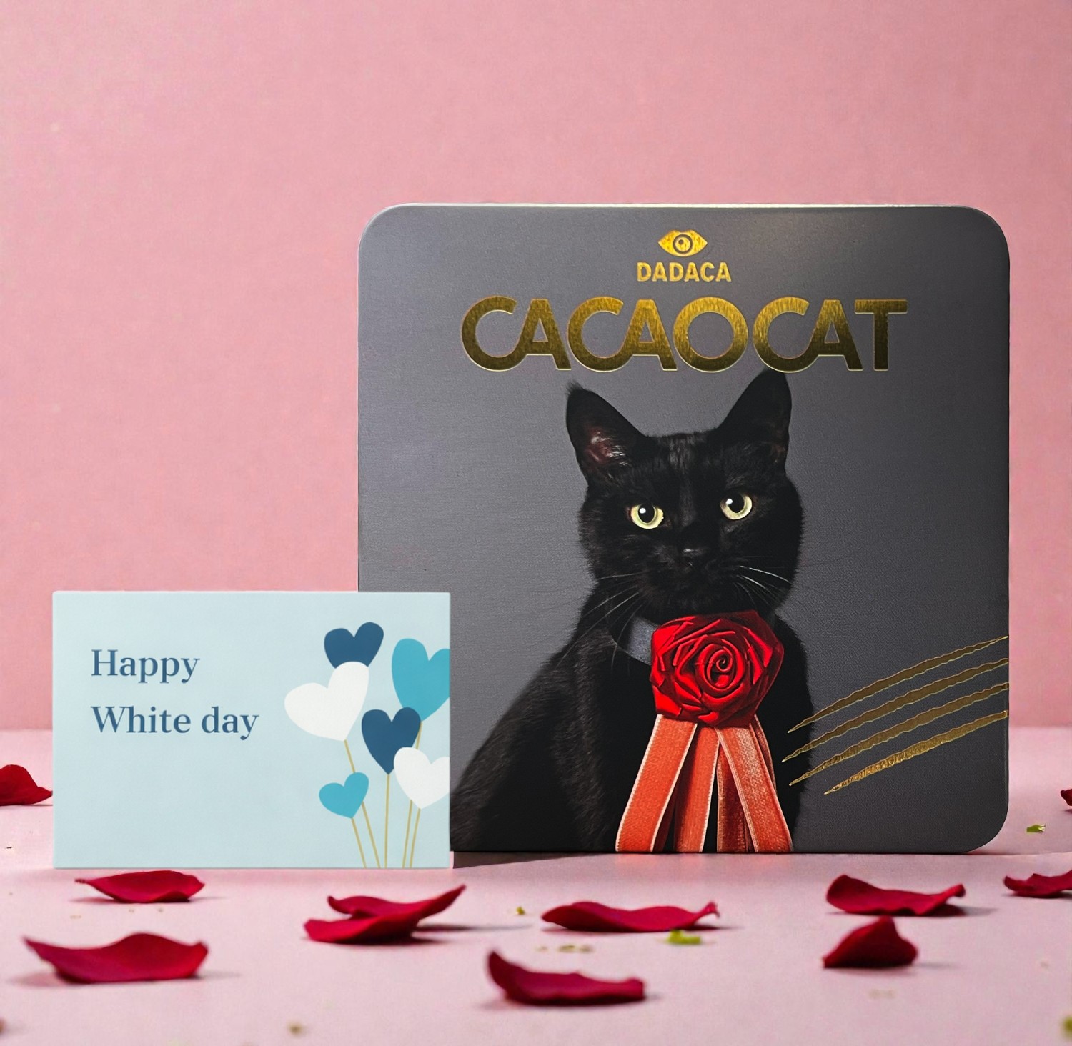  CACAOCAT缶 8個入 NOIR