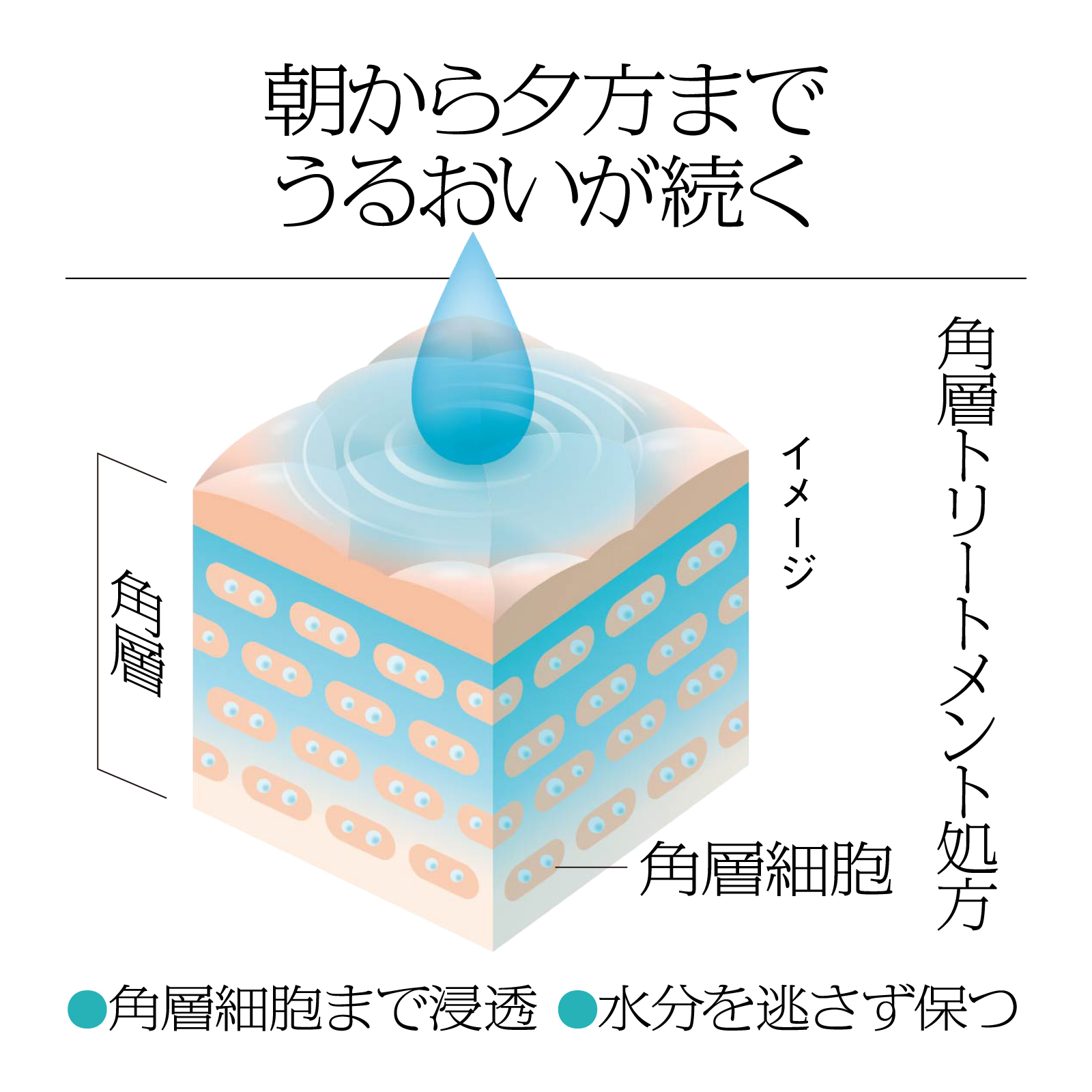 ソフィーナiP　【ボックス付】ピーリング＆シワ改善 4点セット