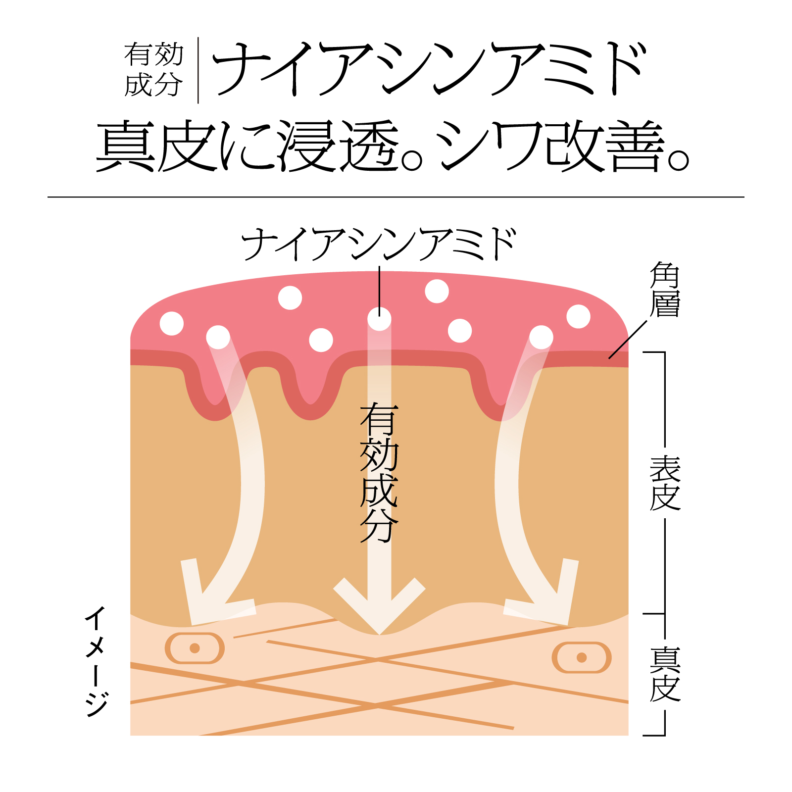 ソフィーナip泡セラムとお花の入浴剤の美容セット
