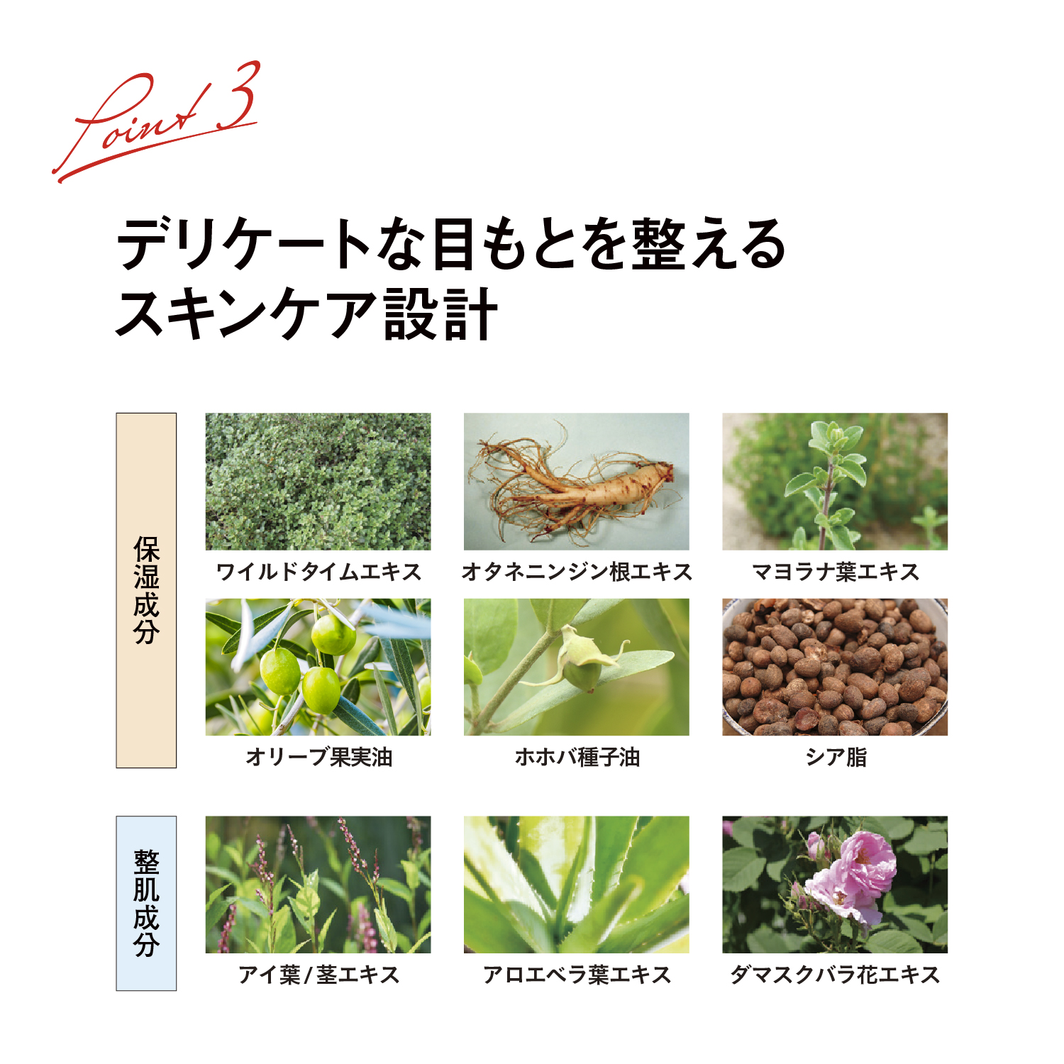 ミネラル 3D アイシャドウ