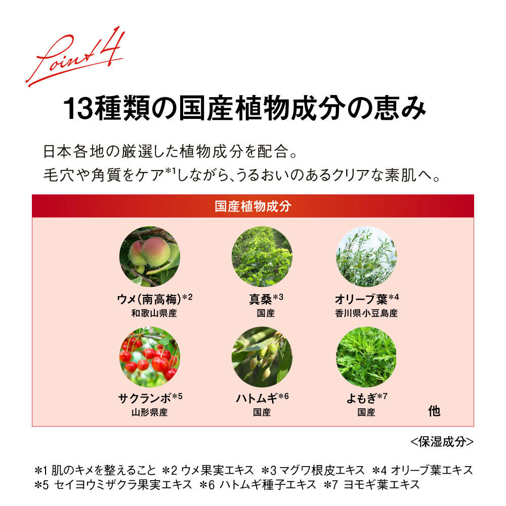 THE SPA クレンジングローション