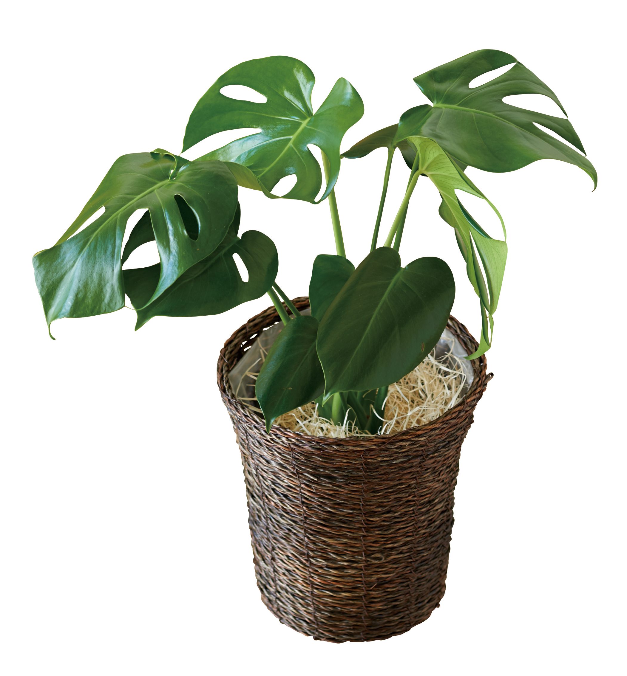 アクタス　ギフトカタログ　e-order choice　＜HANA[花]-C＞