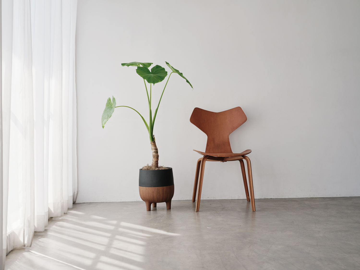 アクタス　ギフトカタログ　e-order choice　＜TSUKIKAZE[月影]-C＞