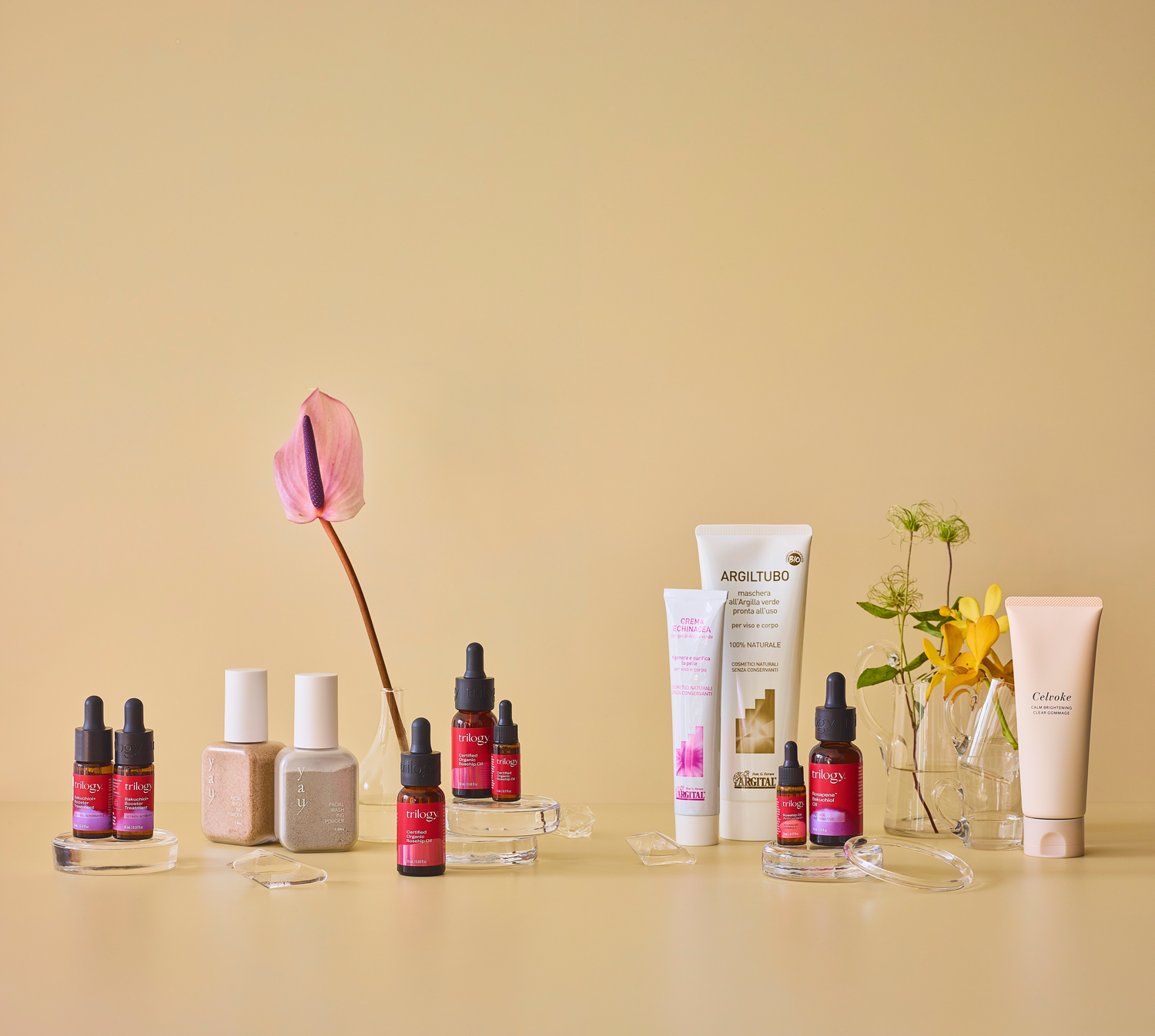 CosmeKitchen & Biople（コスメキッチン＆ビープル）カードカタログ　＜JOY（ジョイ）＞