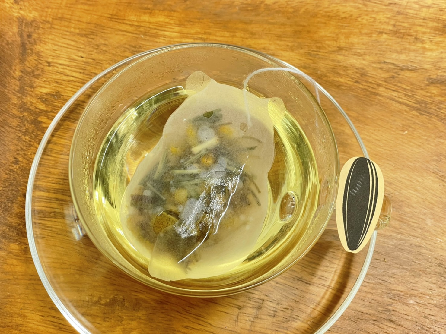 手のひらサイズの恐竜ライトと選べる紅茶のセット