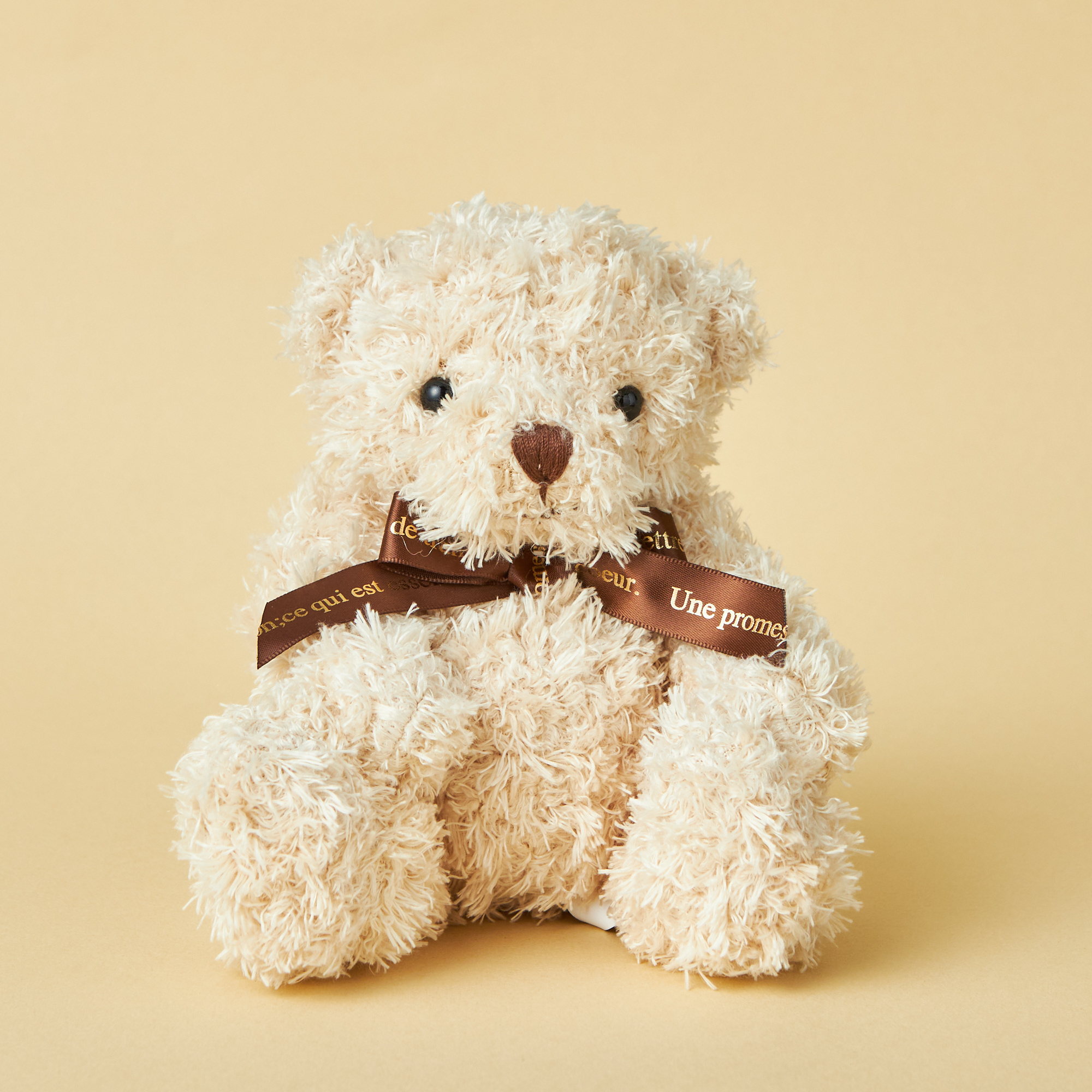 【限定ハートケース】一粒ネックレスとテディベアセット