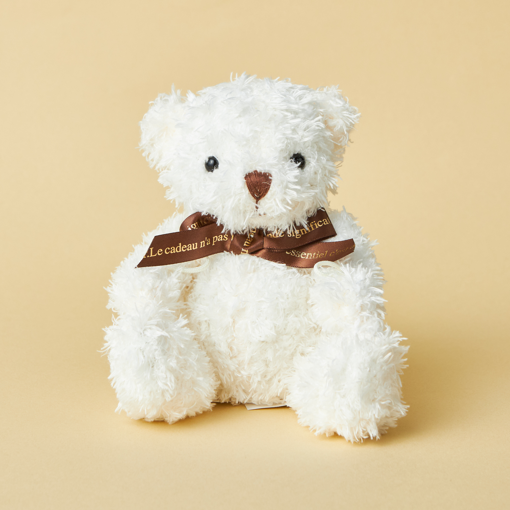 【限定ハートケース】一粒ネックレスとテディベアセット