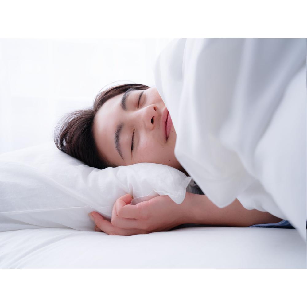 cado ふとん乾燥機 FOEHN LITE