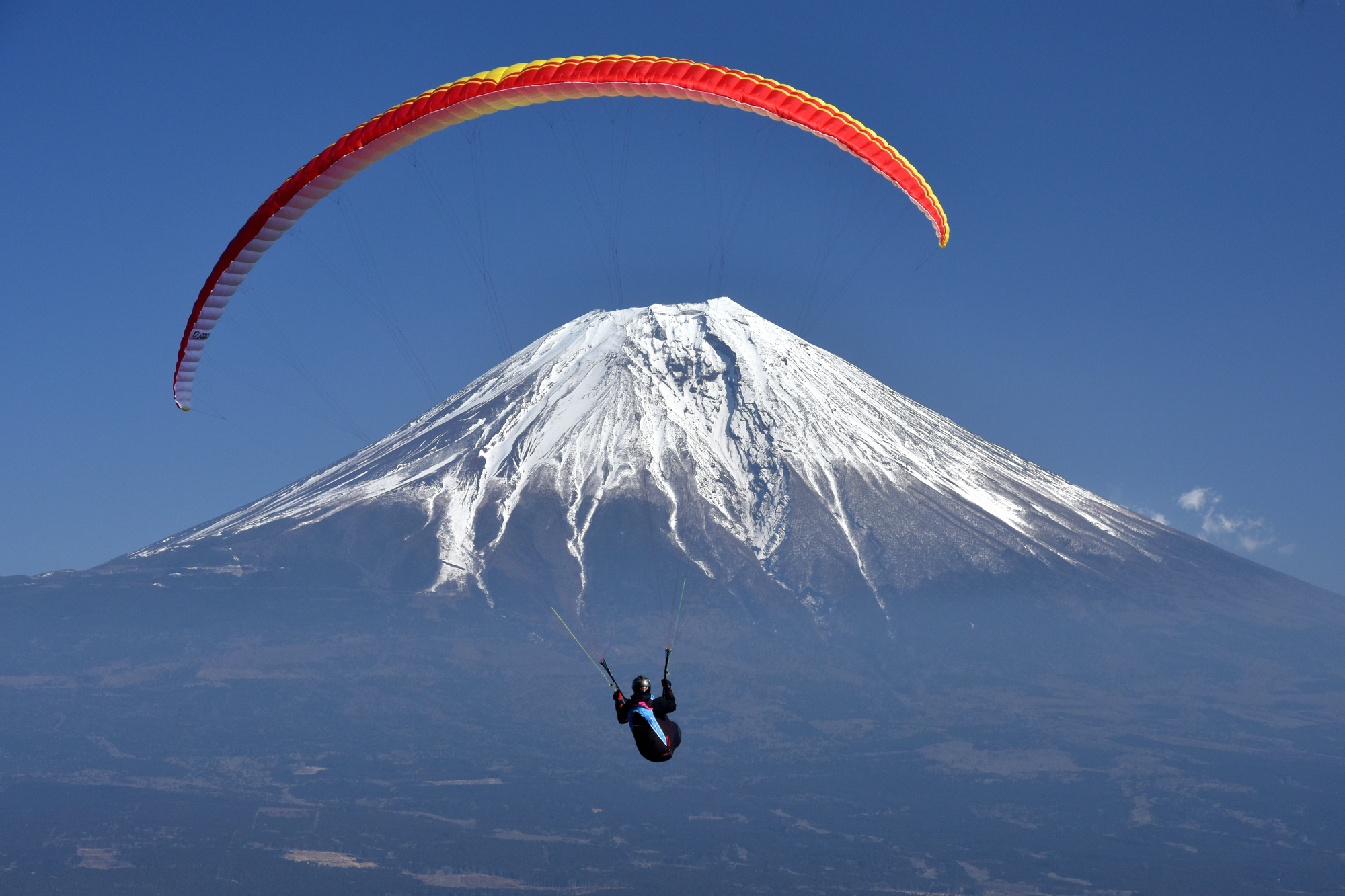 [誕生日プレゼント]1年で一番の笑顔を！BigLOVEを贈るカタログギフト