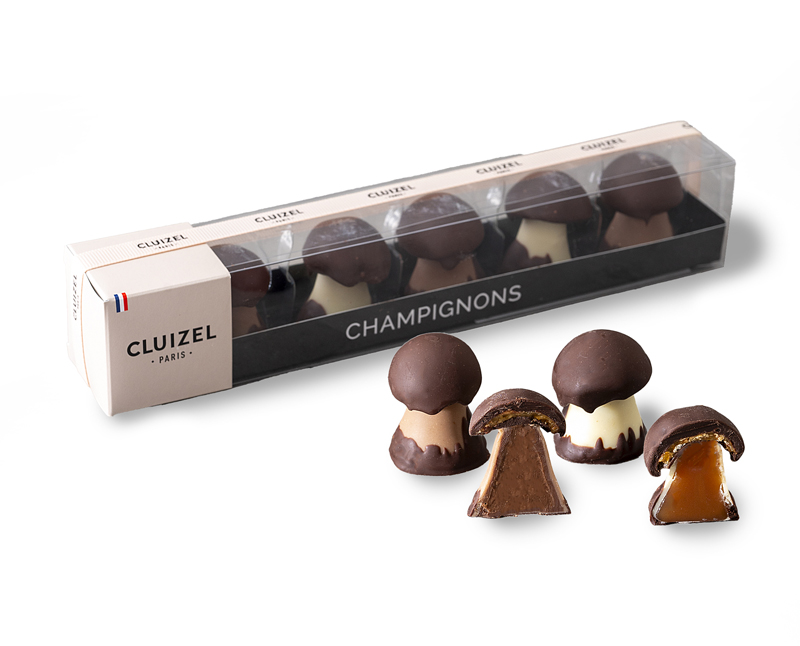 シャンピニオン・アソルティモン