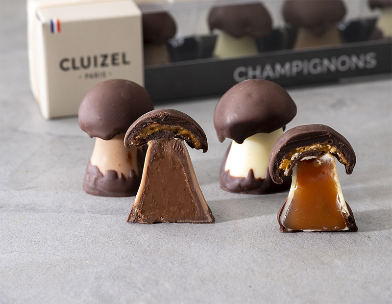 シャンピニオン・アソルティモン