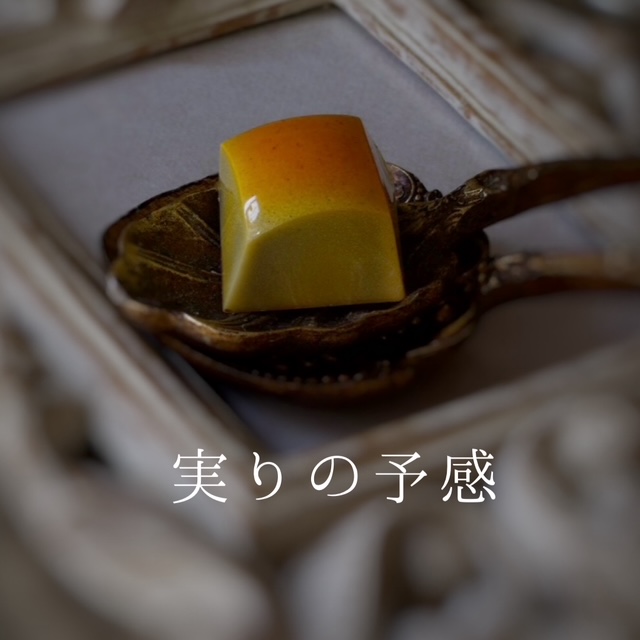 ホワイトデーショコラ