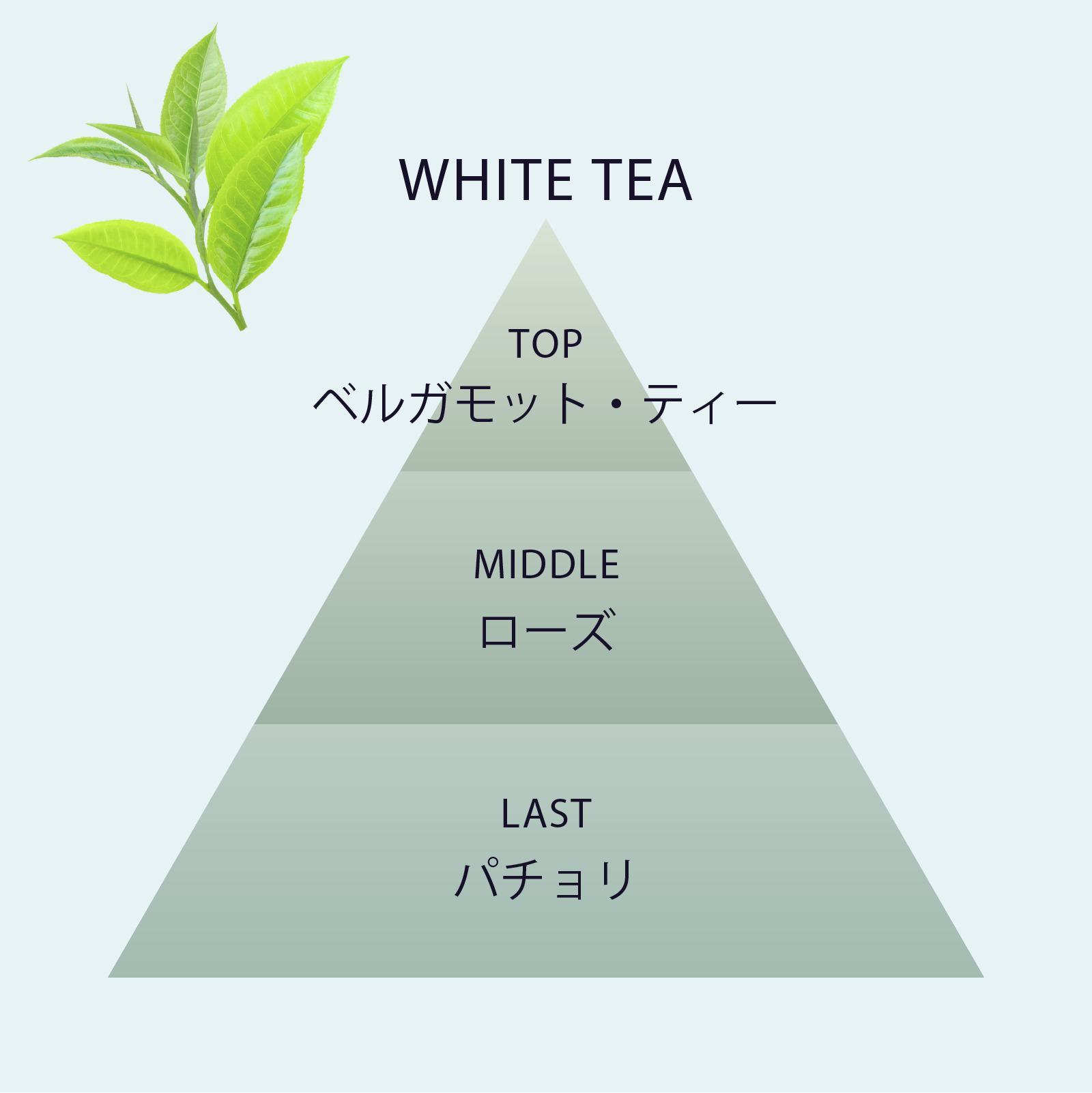 スパークリング スパタブレット ホワイトティー《ホテルスパ発想の重炭酸入浴剤》