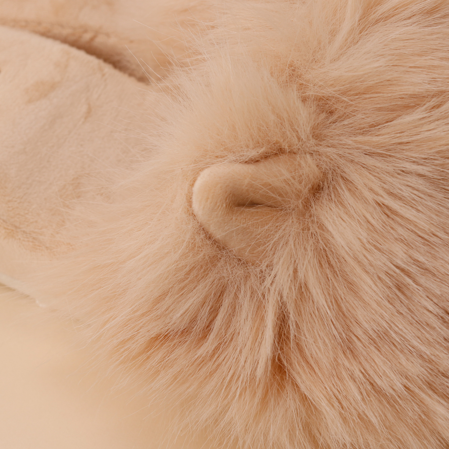 【WOMEN】キャットファールームシューズ