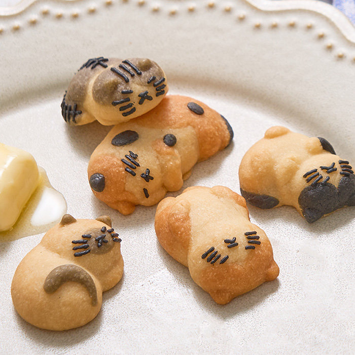おひるねにゃんこはバタークッキーの香り5個ボックス