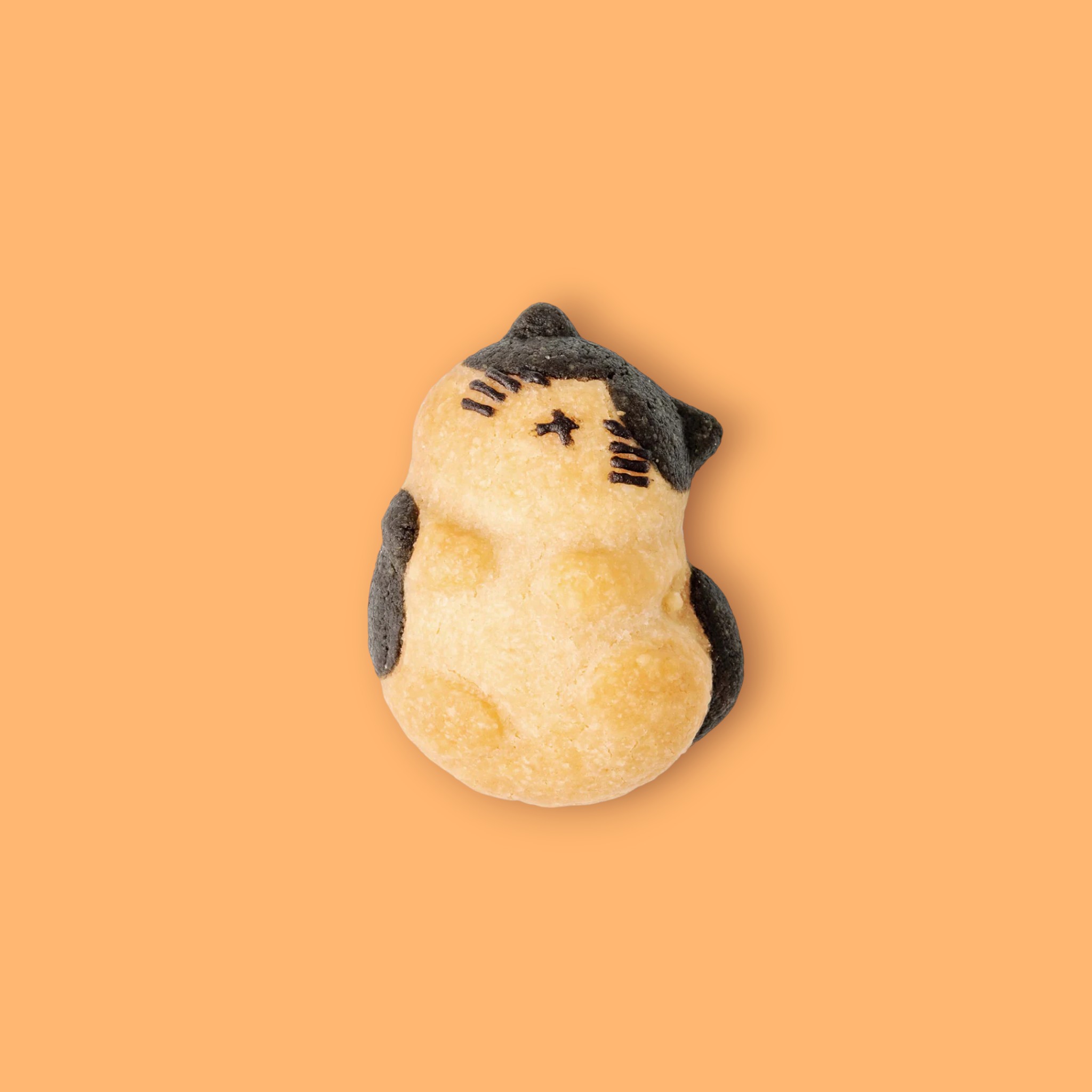 おひるねにゃんこはバタークッキーの香り5個ボックス
