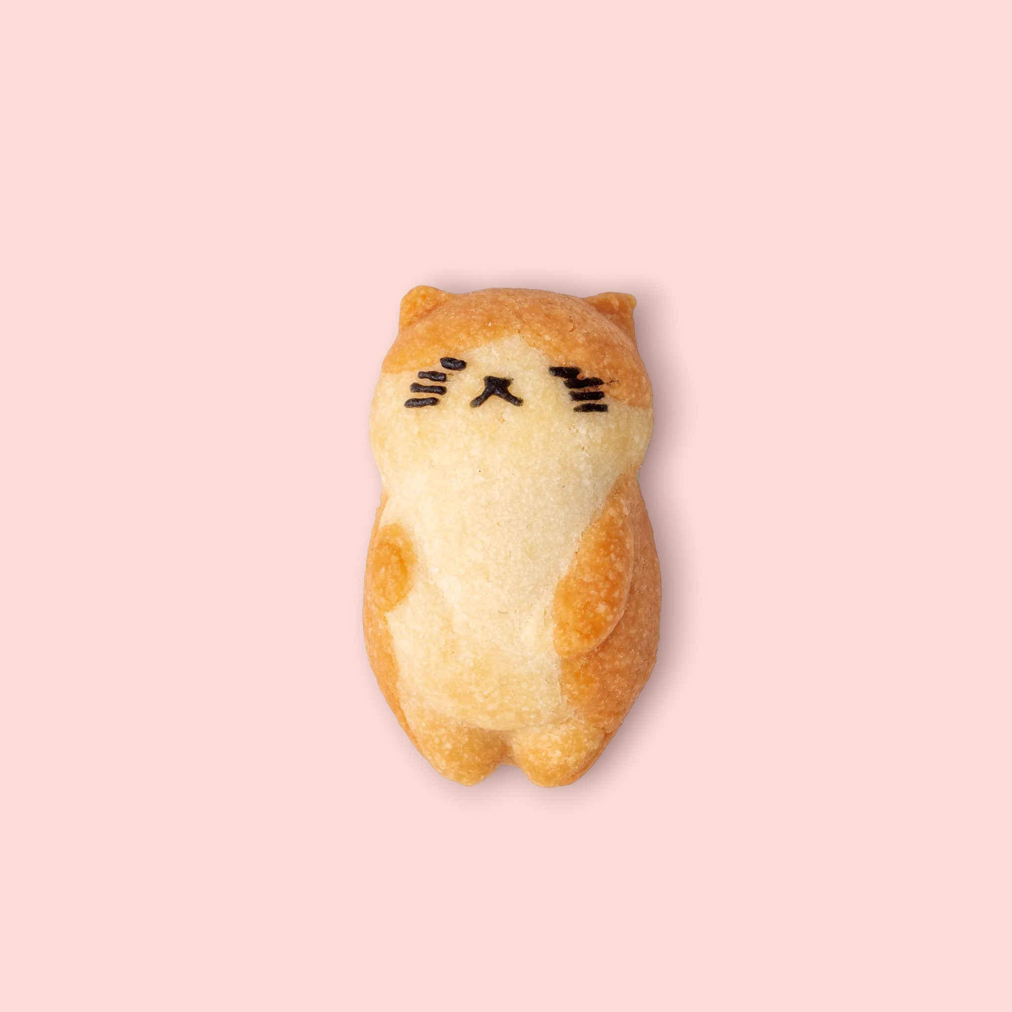 おひるねにゃんこはバタークッキーの香り5個ボックス