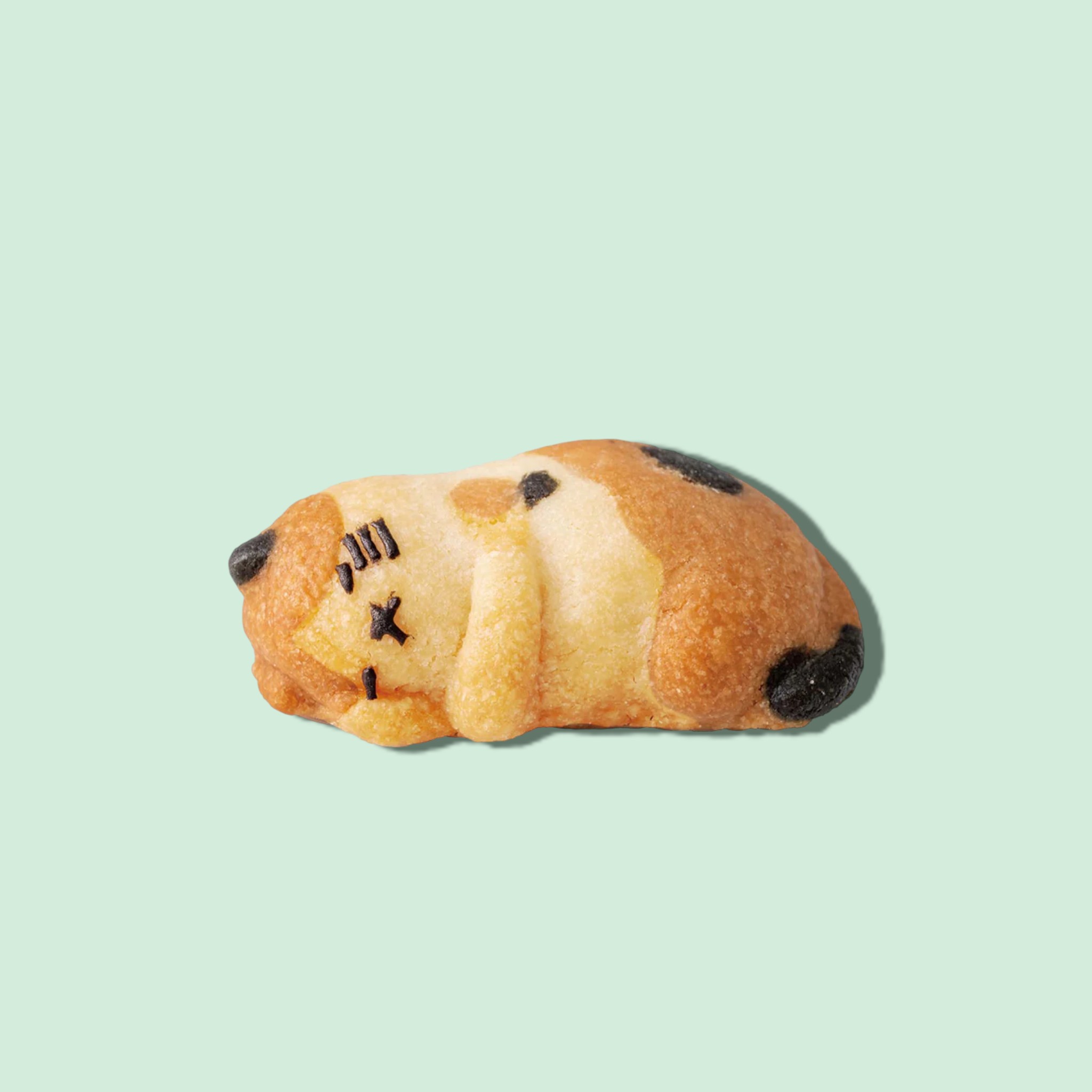 おひるねにゃんこはバタークッキーの香り5個ボックス